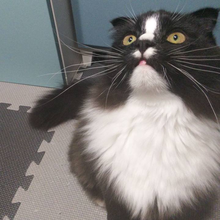 A613e8ad 1ae8 4d3d b655 e3eca8527705 1649856754047