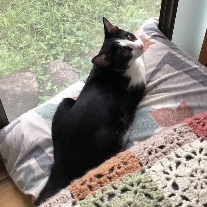 A61409e1 bf9a 4605 a905 c3594b22ee3e 1631314509282