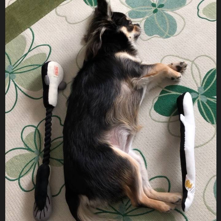 A6144426 001e 4c90 bc04 b98025d08ccb 1561533713890