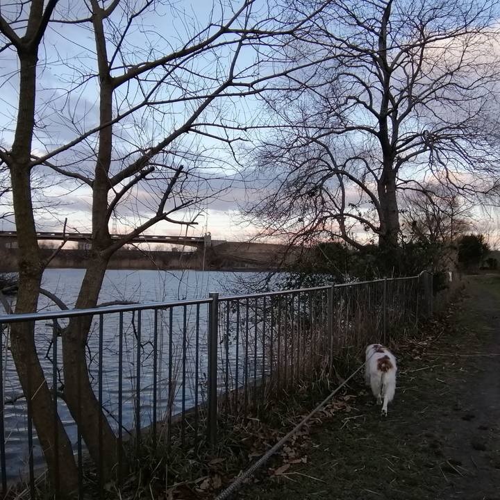 A6147548 41b8 40dc a5ad 1cbce9245eb5 1581990915744