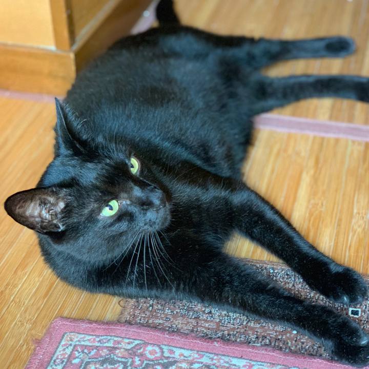 A6147cbb 3cc7 4ab3 a443 2ca94f593733 1568163965375