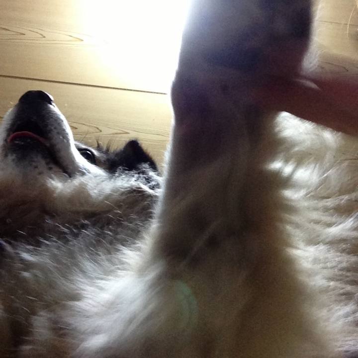 A614bb56 b216 4d2a adfe 8a7a7b7f521e 1603537041528