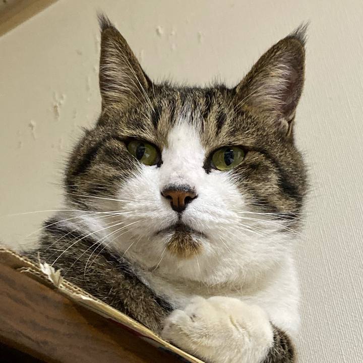 A614e6db 7e02 4682 821b eddb8b1e94f3 1574076538588