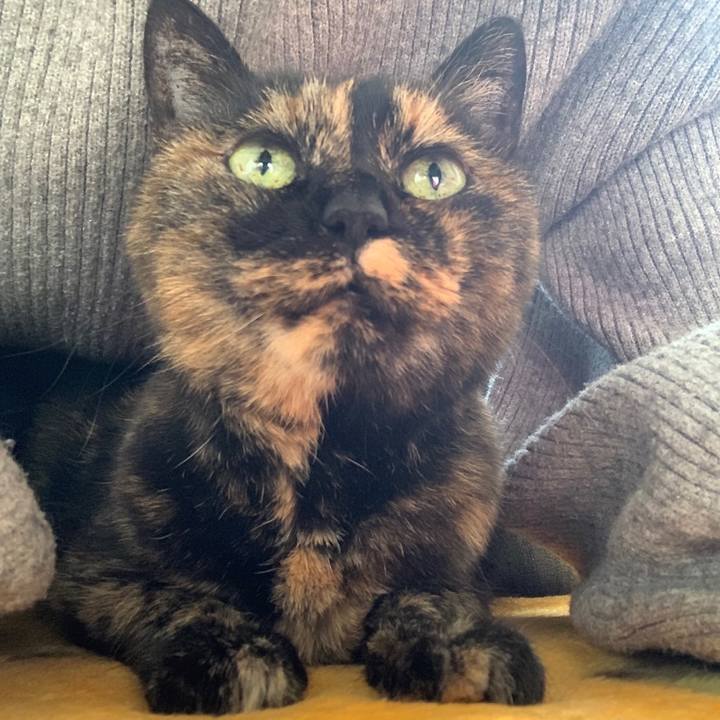 A614f56c 4629 4f06 8bb8 c256536cfe98 1645490557250