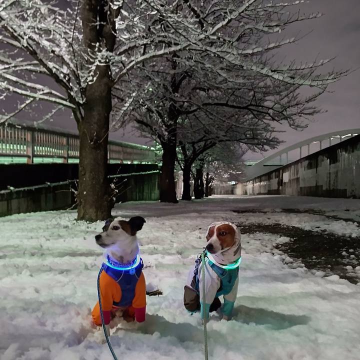 A6151b64 b542 449a bbb7 a54f777631eb 1641476166376