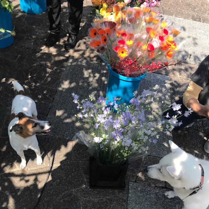 A615a998 a452 4c3a bb4d 0966bbb4e55d 1525485475308