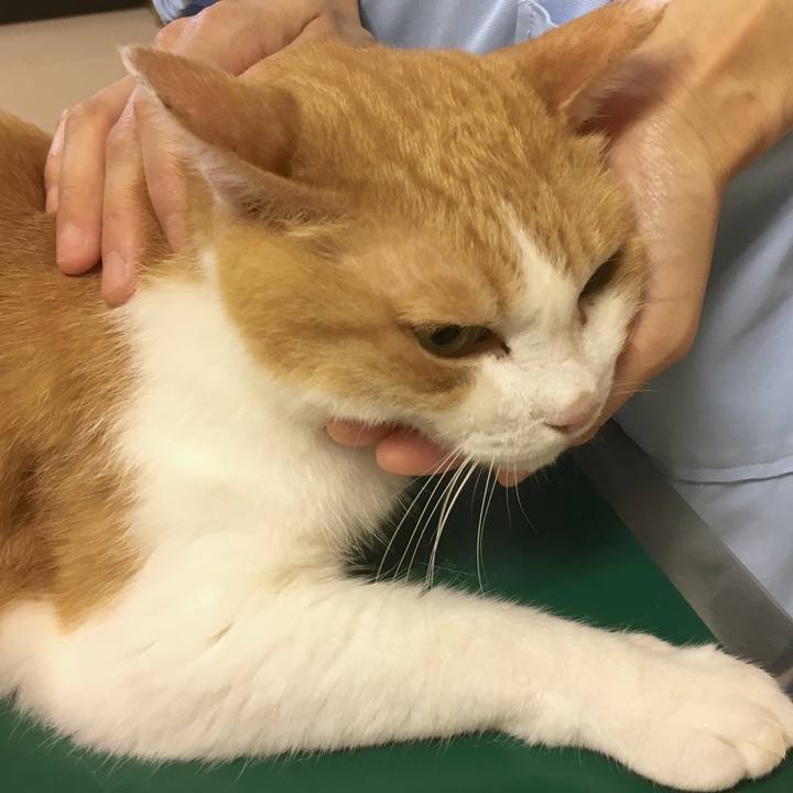 A615b18c 12ac 4389 94b5 5ced67e63e17 1565257608919