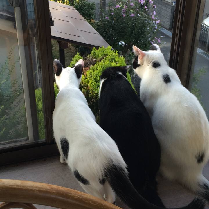 A615c02a 57cf 4ba0 87aa 5cd2d31c1214 1646884436015