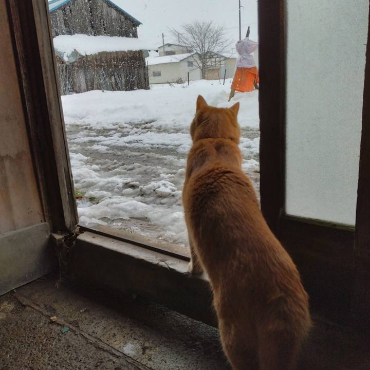 A615cc56 921c 4de4 be8a d43533de038f 1671086521910