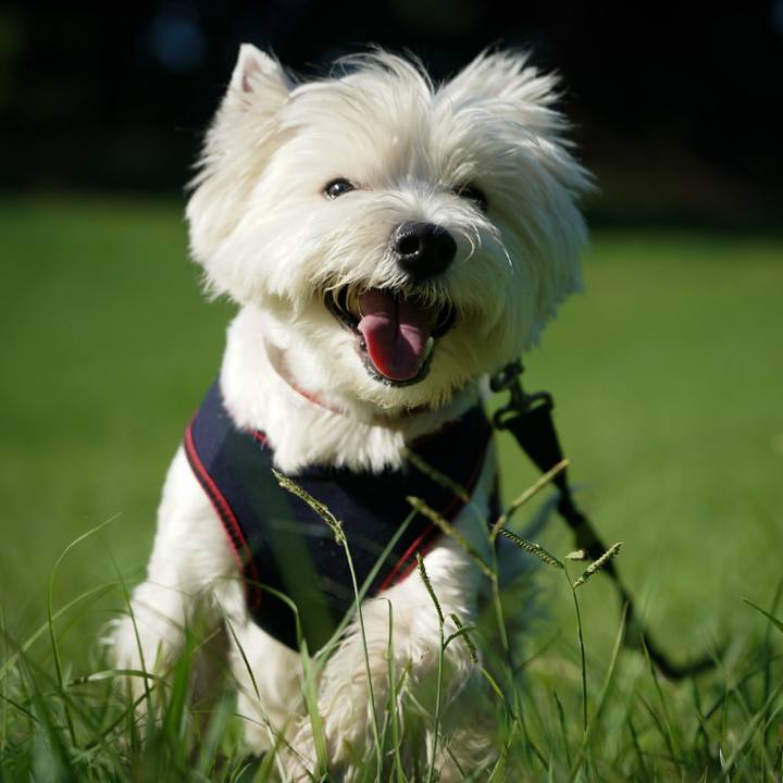 A6161e3f 0fba 4324 af45 25fb2abf23a5 1534377495537