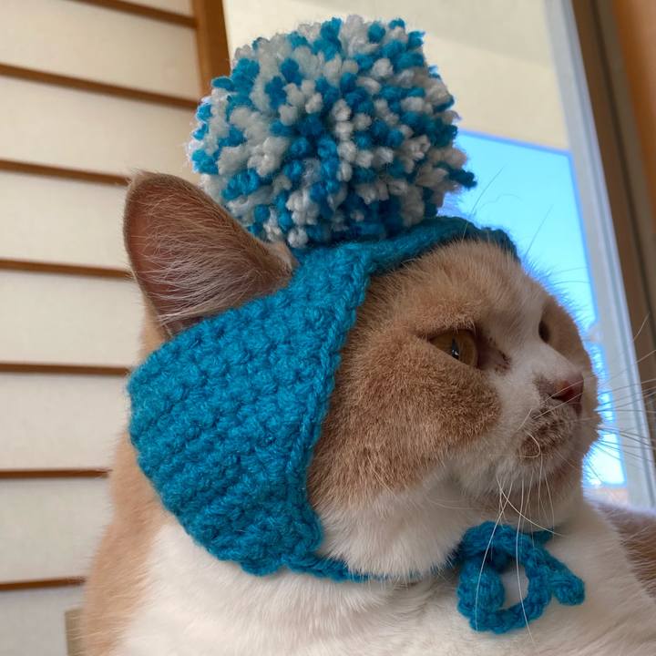 A6166172 1dbf 4cc4 a90e efc5bbcb42a0 1603333394069