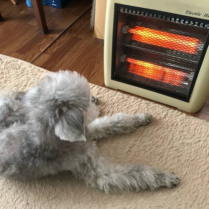 A61667d3 1bef 4260 a29b bf00f562af9e 1610845855488