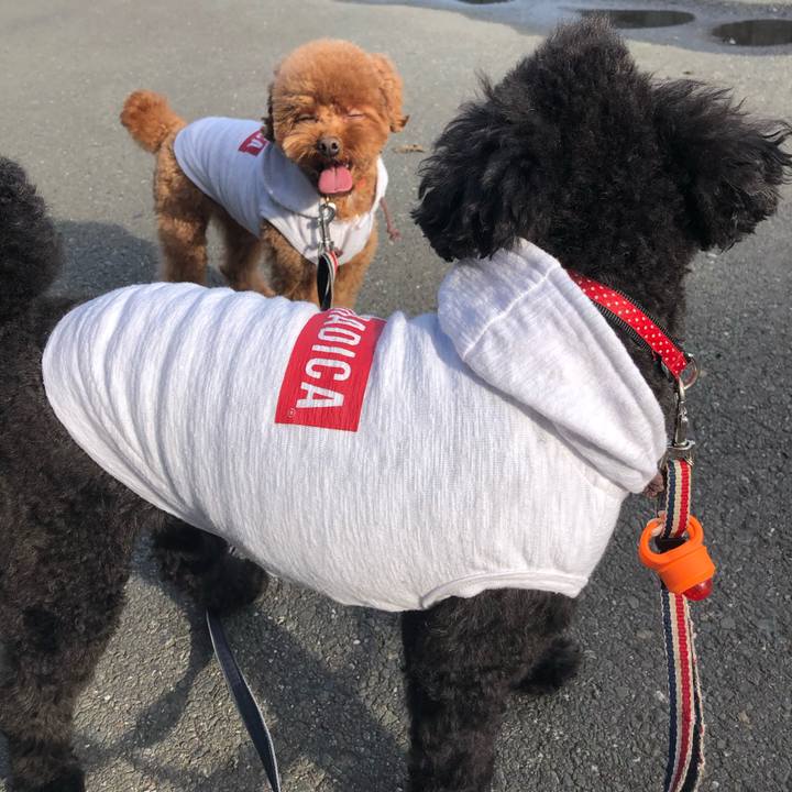 A616951e 6f6e 4b4f 9daf cd8c8f927d5a 1574572484805