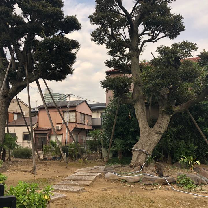 A6169fe1 3d90 4498 a772 c29990fed8d5 1570460238884