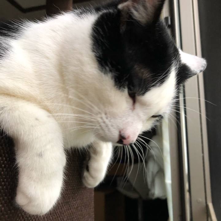 A616a9e8 d94f 4fe5 9048 de5cc30b2e6b 1558384489520