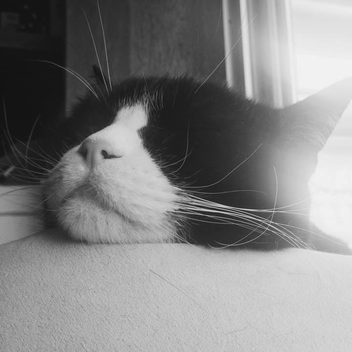 A616b614 c71b 4de4 9b78 d957523fbeef 1517023461806