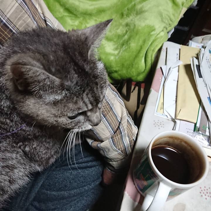 A616d50c f819 4748 8cc5 5c85a21a8ccd 1583787712672