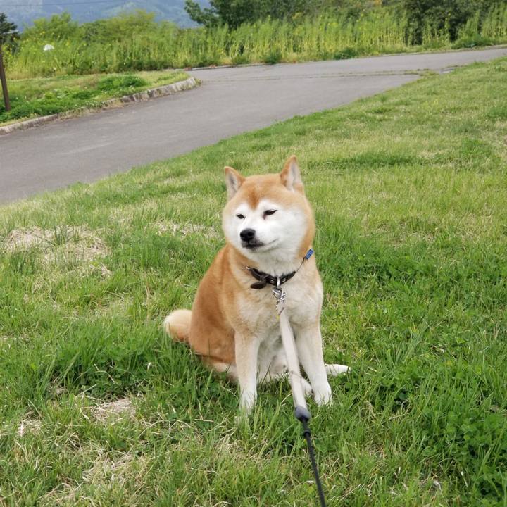 A616db90 c7c8 4f7c 85ce a7652c6bfc1f 1620630755449