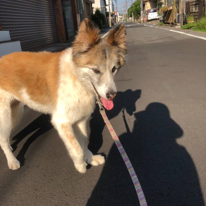 A616ffef b52f 4929 a707 f0451f4702b7 1535688728679