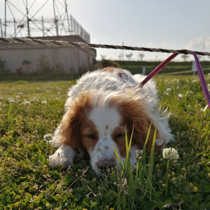 A6175880 10e6 48ac aaf6 6388798ebe9b 1588064797276