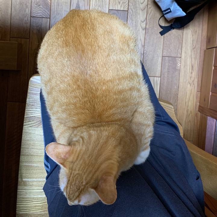 A6175c9d f717 480b 88b0 a33b62a255f8 1669806072055