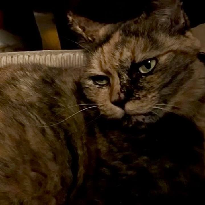 A6175f81 7514 480e ab34 d2d12d6ad8e4 1759140388842