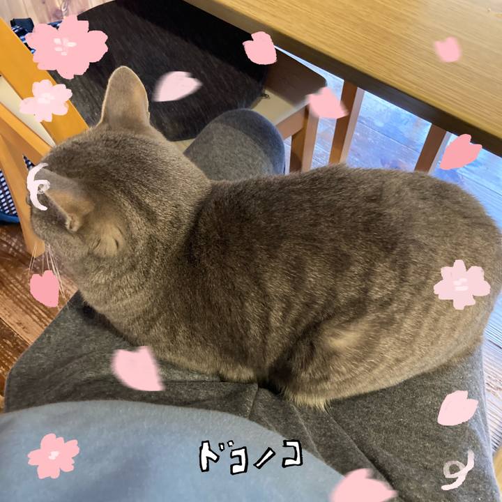 A617770f b6d2 4b56 8dfe e2e9e11ab018 1744359602894