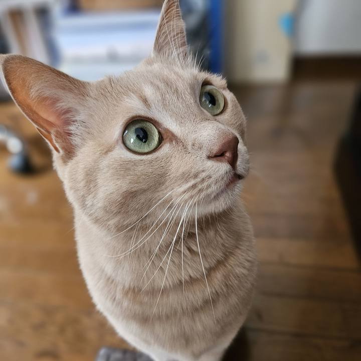 A6177e6f 77ea 434c 9731 d44a36167f6f 1731211516520