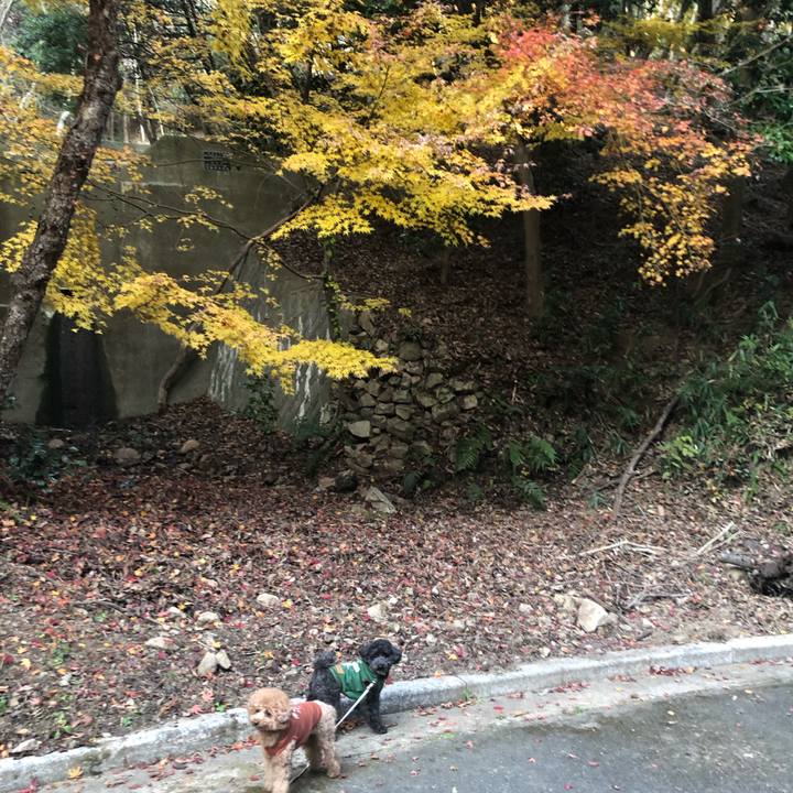 A6179b06 4af5 4bb5 9eb4 91538f295c58 1608163806084