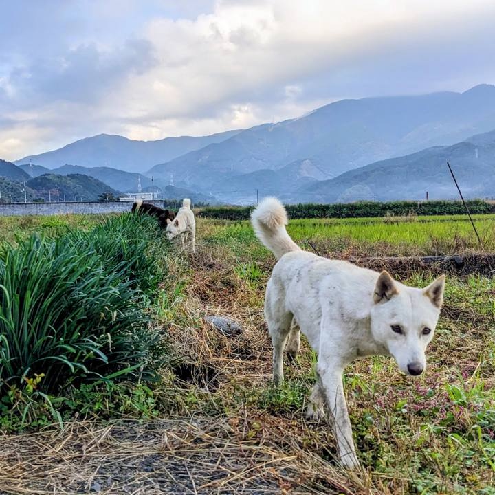 A617b99f cb3f 45b9 a341 eb7e29d949ba 1763469577333