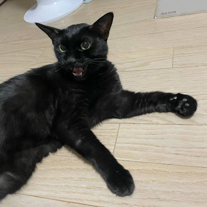 A617be1c 29ee 4f0a 8818 ccb99404b6aa 1754484866857