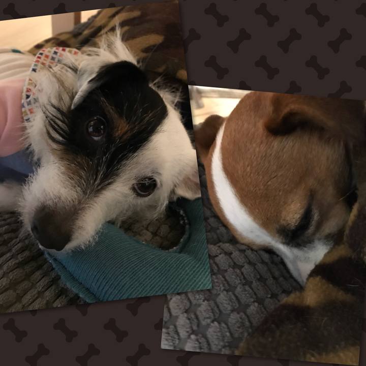 A617c36a 9d78 4109 874e c3b51a71bf76 1519737606709