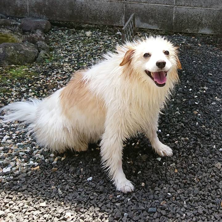 A6185e28 01bd 443e 83d0 ef8f0da61786 1524971906638