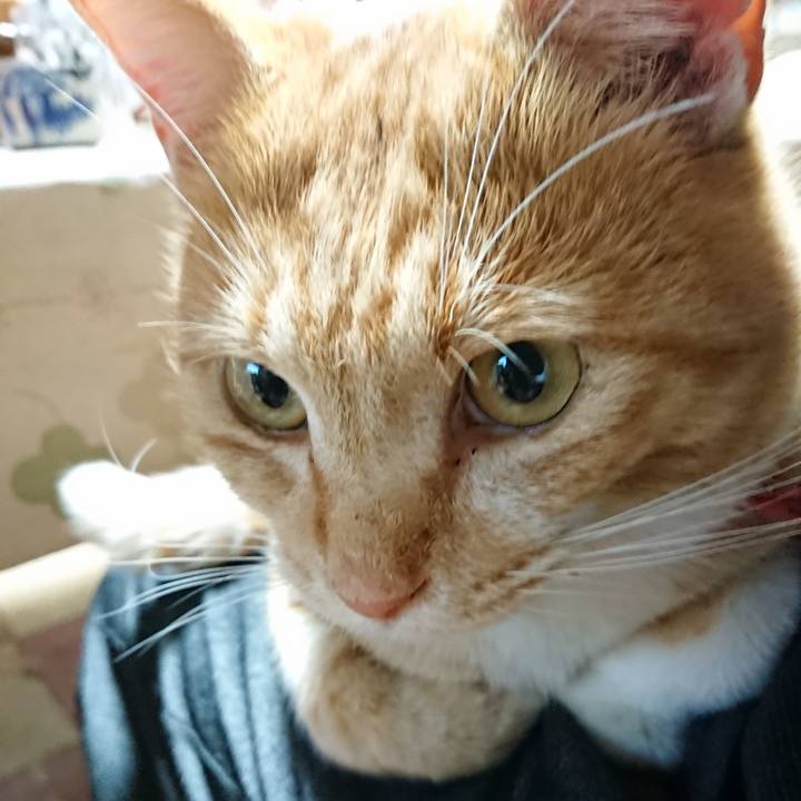 A618f1fb 4d79 49eb 98ab cc75ec3190b6 1574067964402