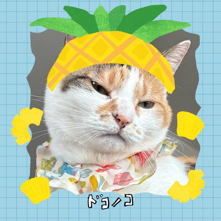 A6190b44 2c4b 40a1 b8e9 1be7b6a139fe 1783394181825