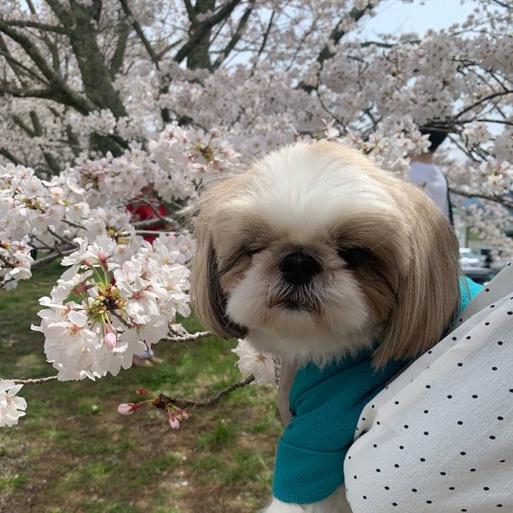 A6191b44 488e 4fb3 a79f bc96e256f66c 1712478359510