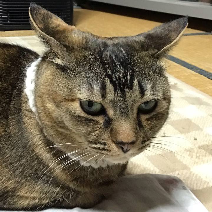 A6193147 1350 4fce a7f5 a211a1daab3c 1740822149504