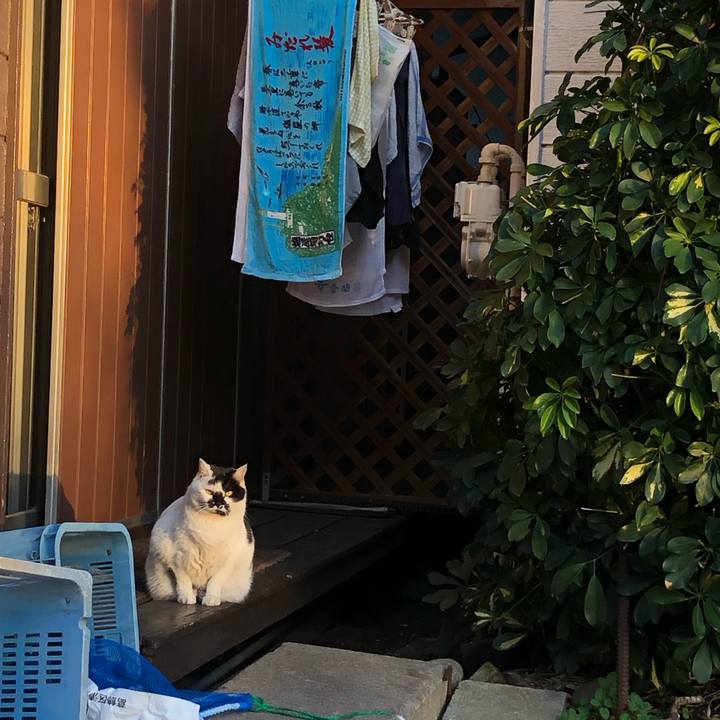 A6195913 5f8e 484e ab47 573e96c4aa3e 1580977717053