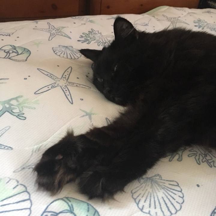 A6198df5 df40 498e 86ef d7a3d181b08f 1553999750587