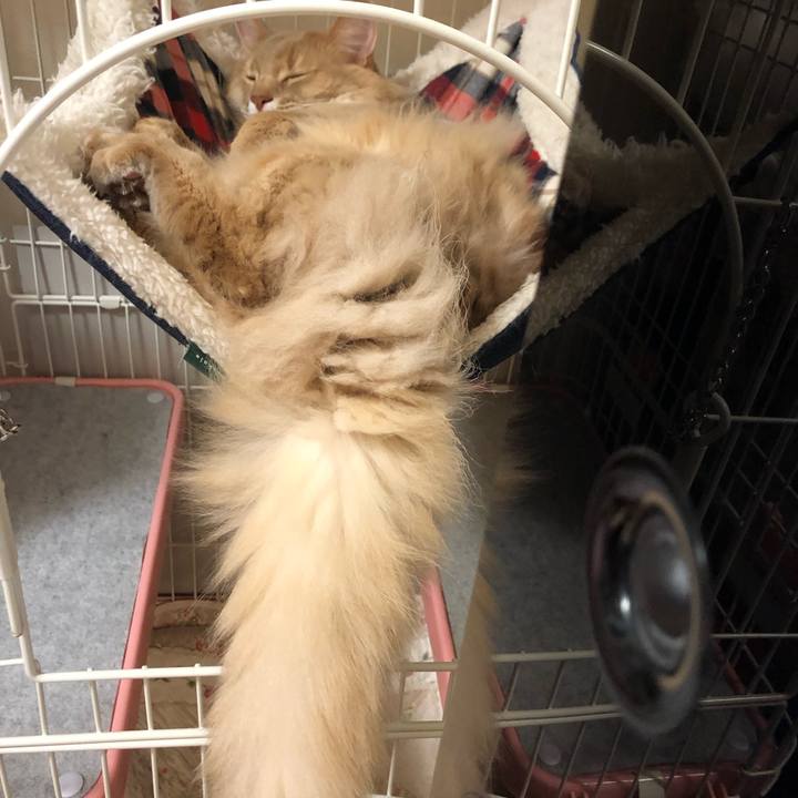 A6199fc8 57a1 4f47 94d4 9bff1fedcf03 1624809088156