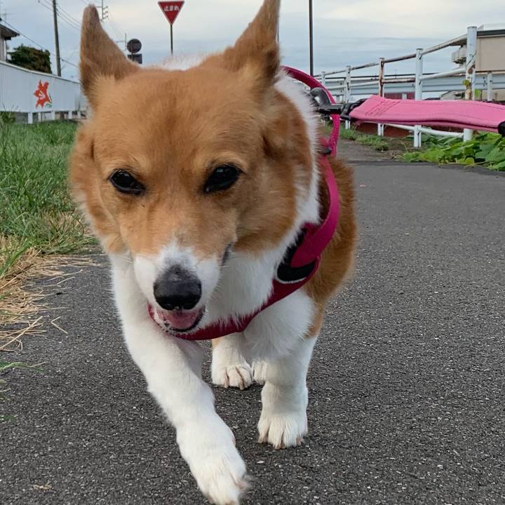 A619d53d 282d 4b3c 91e7 027ca8abfcb2 1695513831239