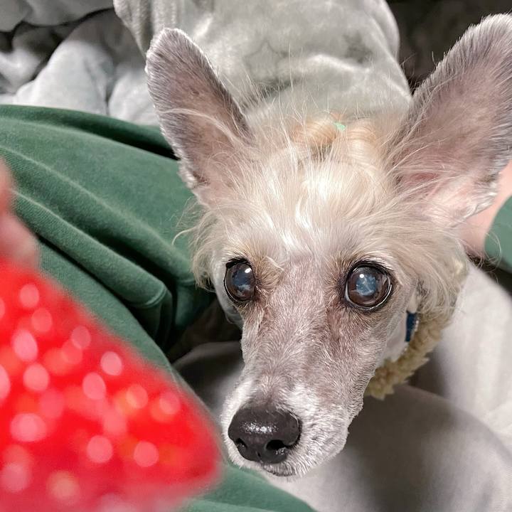 A61a0dd6 c362 4525 8b36 71b9832449ed 1772450884456