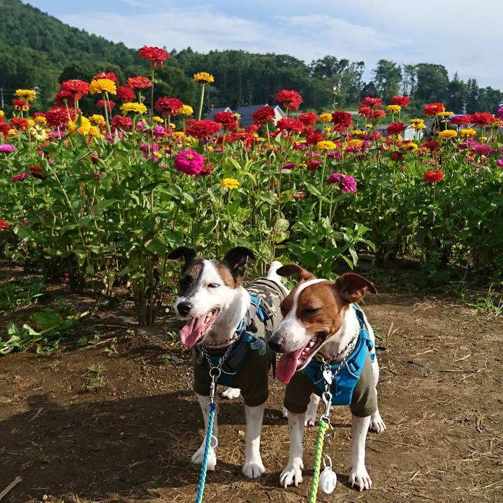 A61a2950 5169 4116 80b0 bd83a2c9eff9 1564301150735