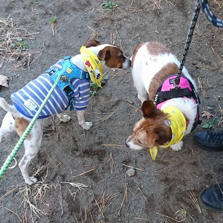 A61a35f0 a8dd 4ed9 921f 4ce07c63ab29 1606546620079