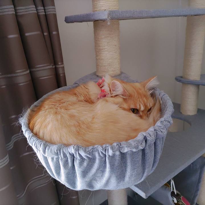 A61a4085 dc3e 4189 ad98 0d262e89f80b 1666841748474