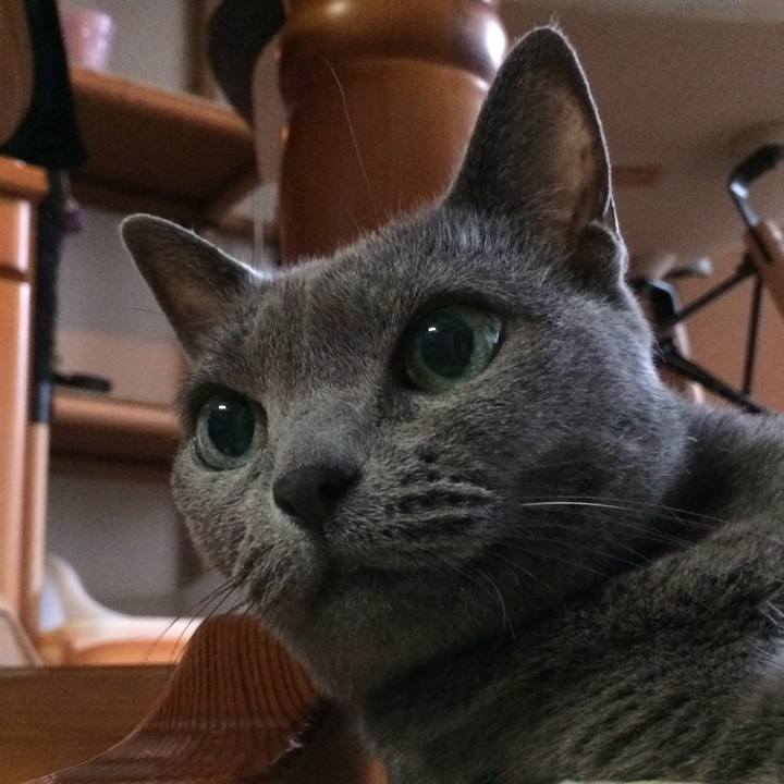 A61a6aba a8e1 47cc 8c15 5ce82078c51d 1536532397381