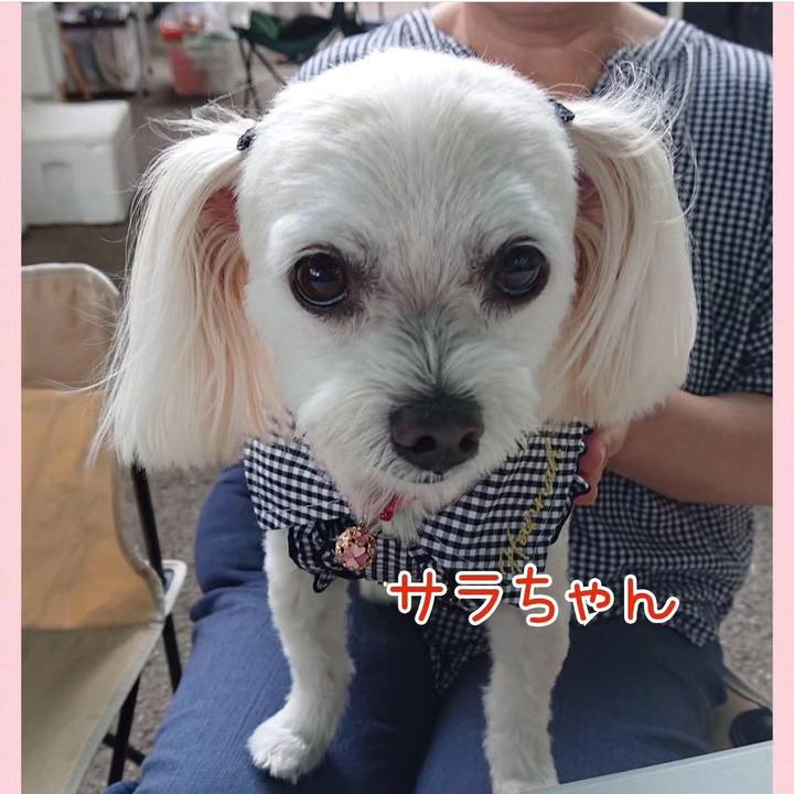 A61a7975 c631 4904 8ecd 0f921cbd1d3a 1694426170804