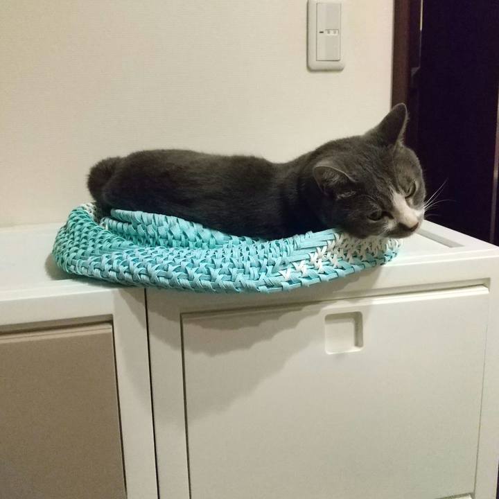 A61ac6b8 3a9a 47a9 b22a a602e074fe30 1652790160113