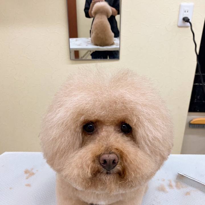 A61af8ec 1e7a 4714 8ab1 96cb19efd543 1691497756921