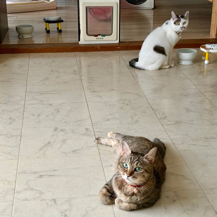 A61b018f 60dd 4d89 b5d1 08d69c900631 1790151837927